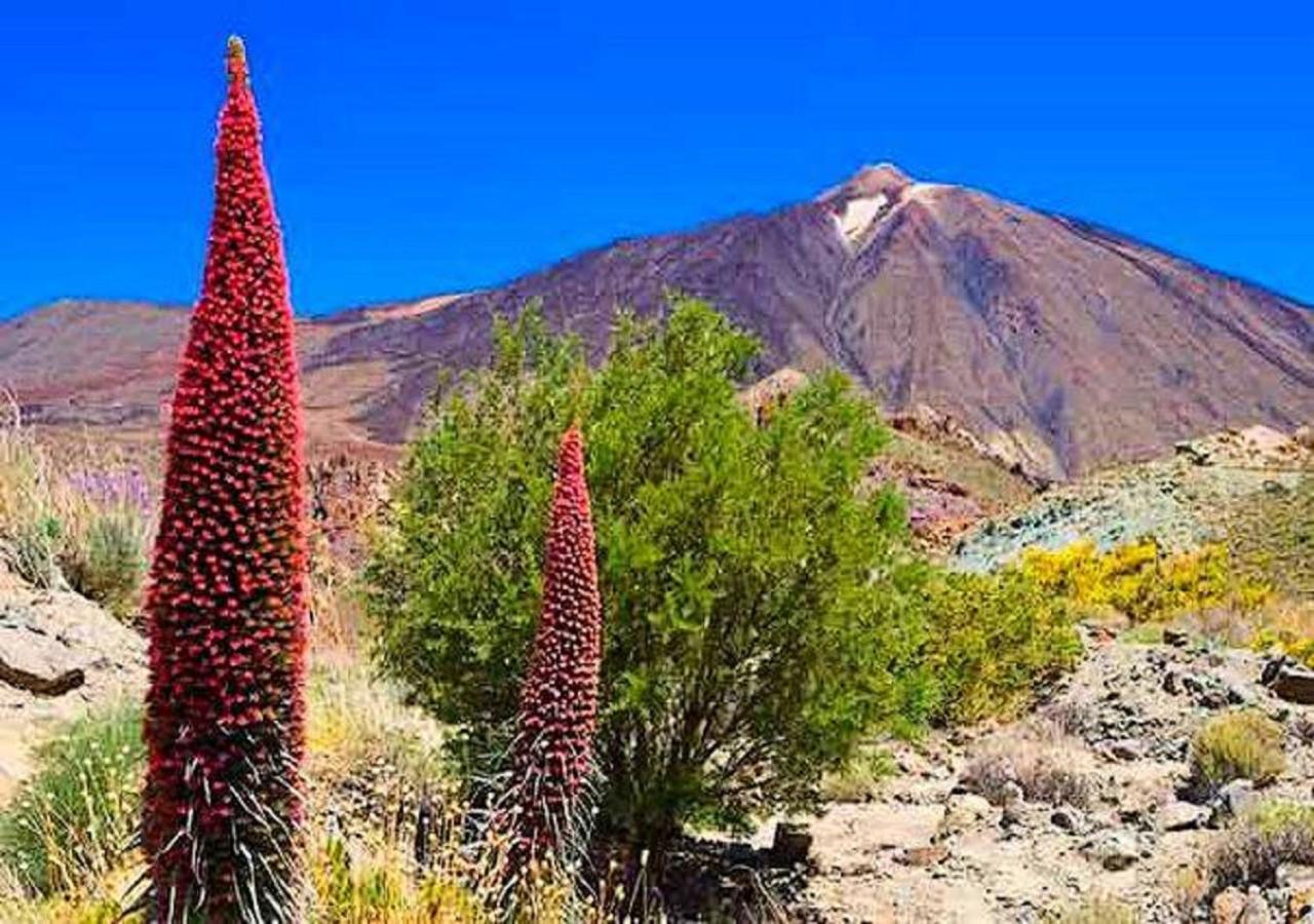 سان ميغيل ذي أبونا Olle Golf Tenerife Sur المظهر الخارجي الصورة